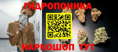 сатива Бузулук