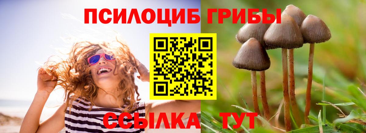 Нижний Новгород  Галлюциногенные грибы мухоморы  Вход с VPN 